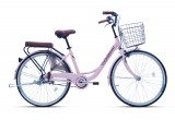 Xe đạp mini Thống Nhất LD 26